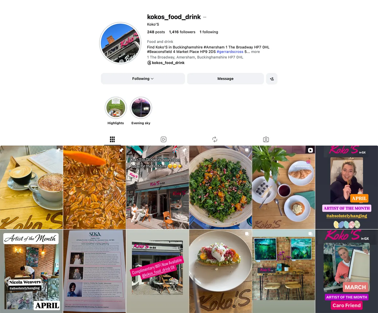 Koko’S Instagram desktop feed preview