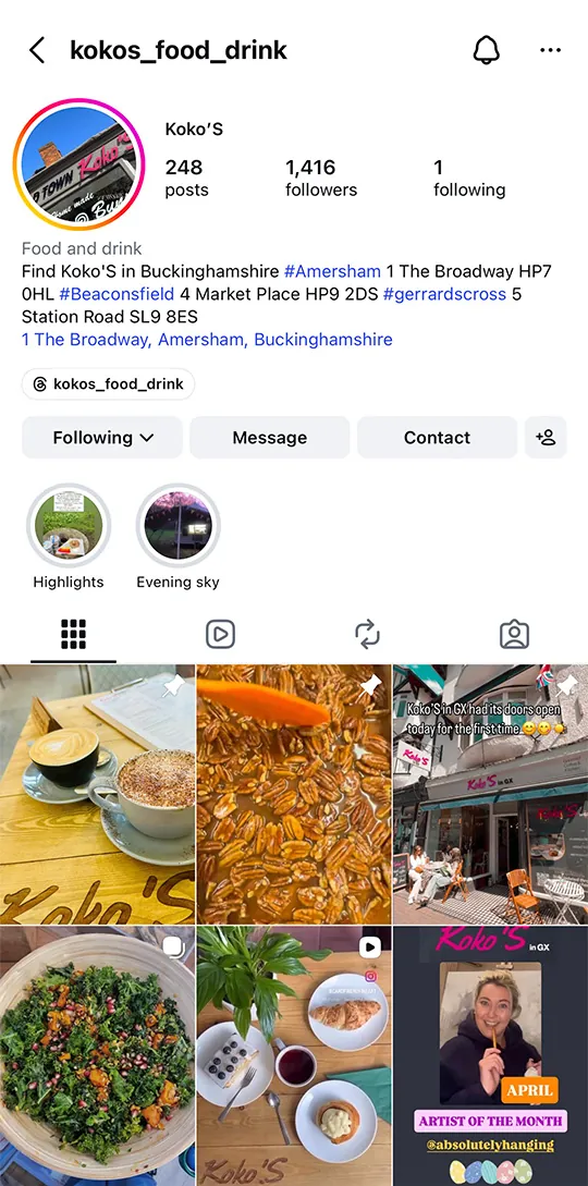 Koko’S Instagram mobile feed preview