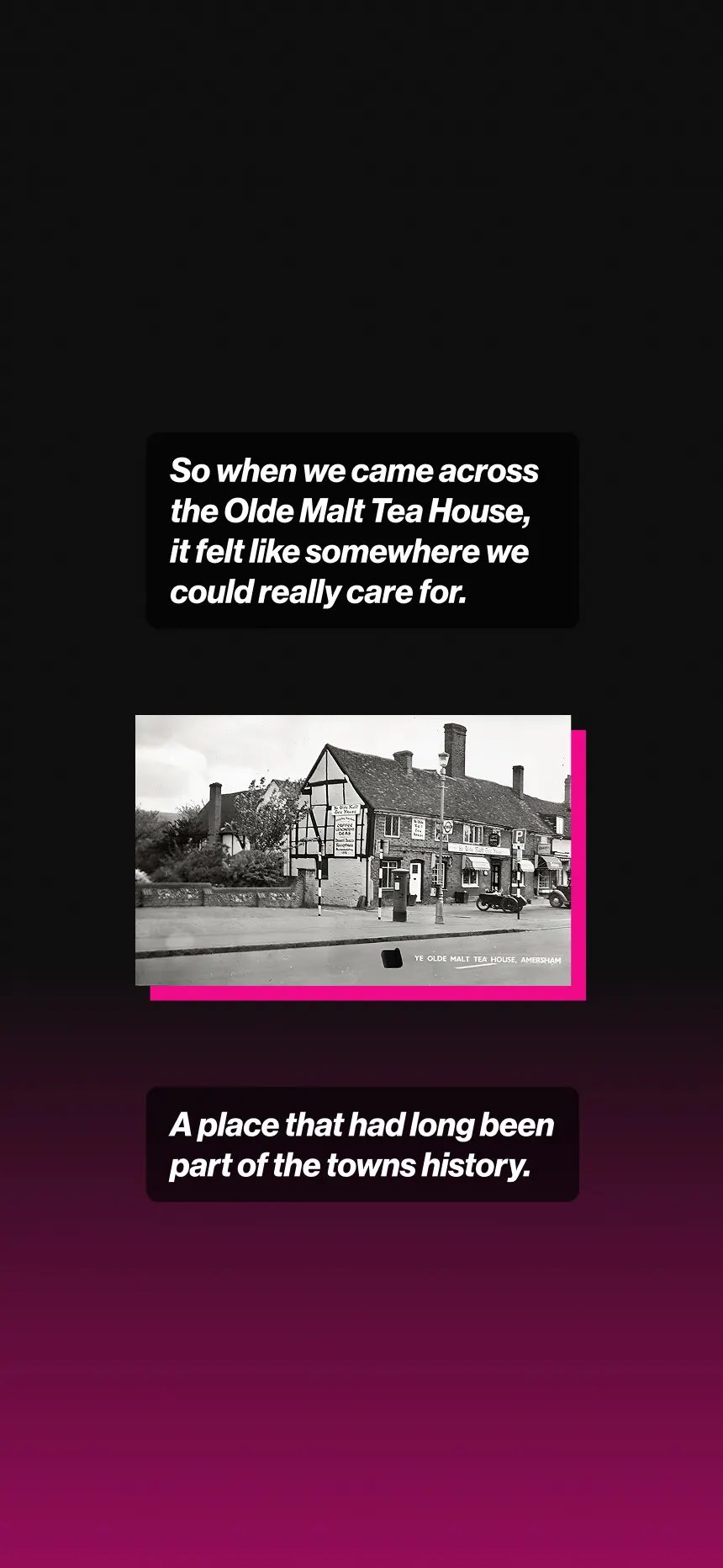 Koko’S story image 20
