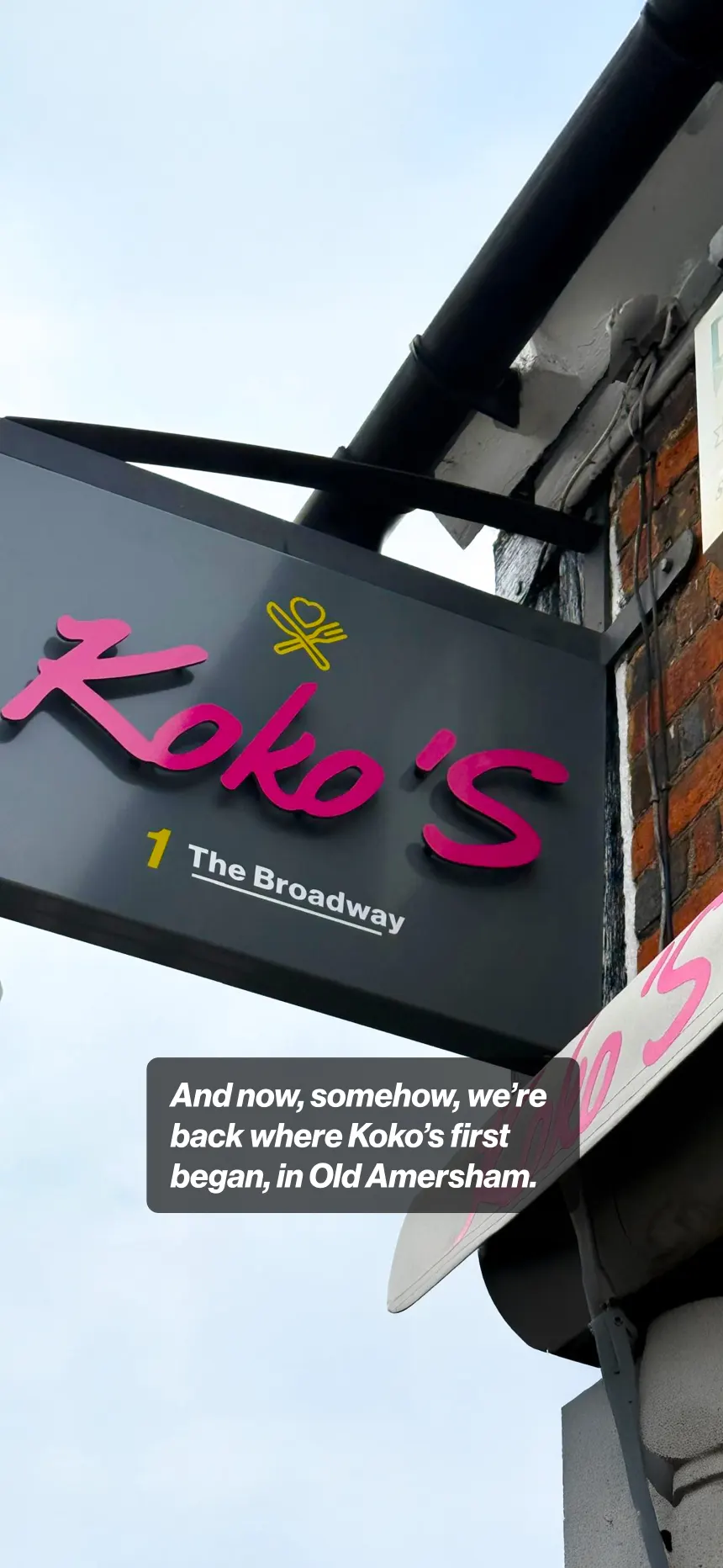 Koko’S story image 25