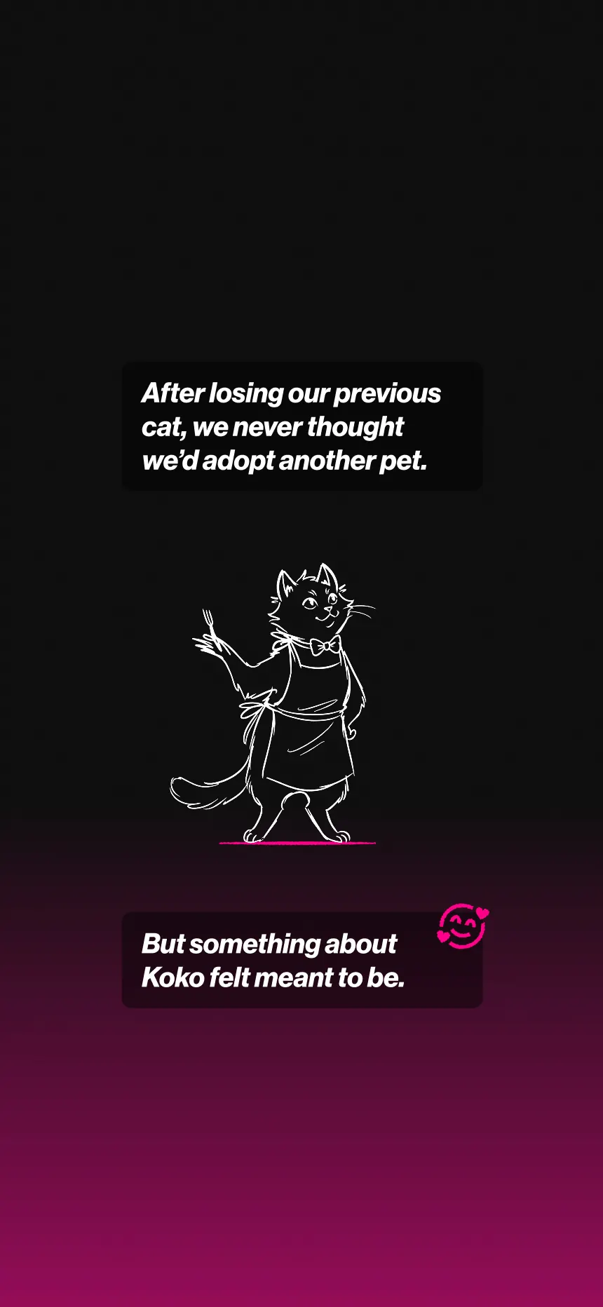 Koko’S story image 3