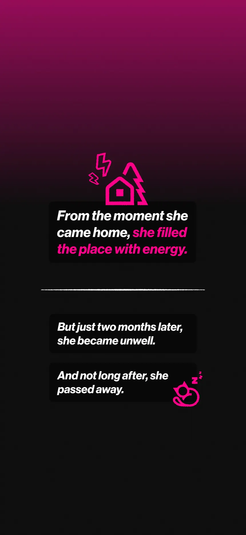Koko’S story image 4